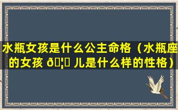 水瓶女孩是什么公主命格（水瓶座的女孩 🦉 儿是什么样的性格）